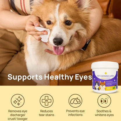 Bellepaws Gentle Pet Eye and Face Cleaning Wipes - 120 Count, Tear Stain and Odor Removal Formula with Aloe, Witch Hazel, and Coconut Oil for Dogs and Cats