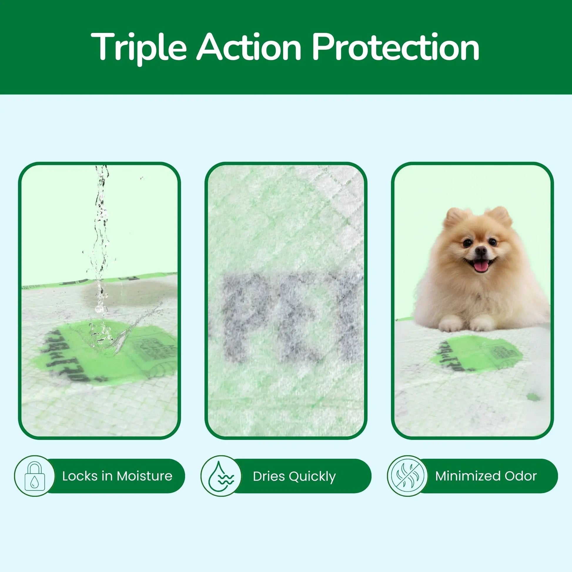 Pet N Pet 50-Count Puppy Training Pads – 48% USDA Certified Plant-Based, Unscented, Highly Absorbent, and Leak-Proof