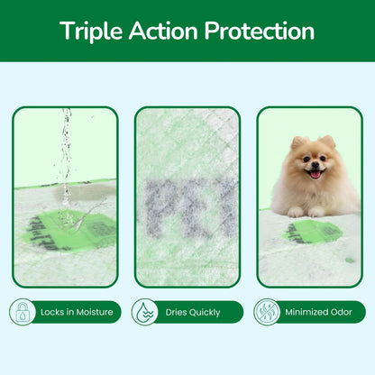 Pet N Pet 50-Count Puppy Training Pads – 48% USDA Certified Plant-Based, Unscented, Highly Absorbent, and Leak-Proof