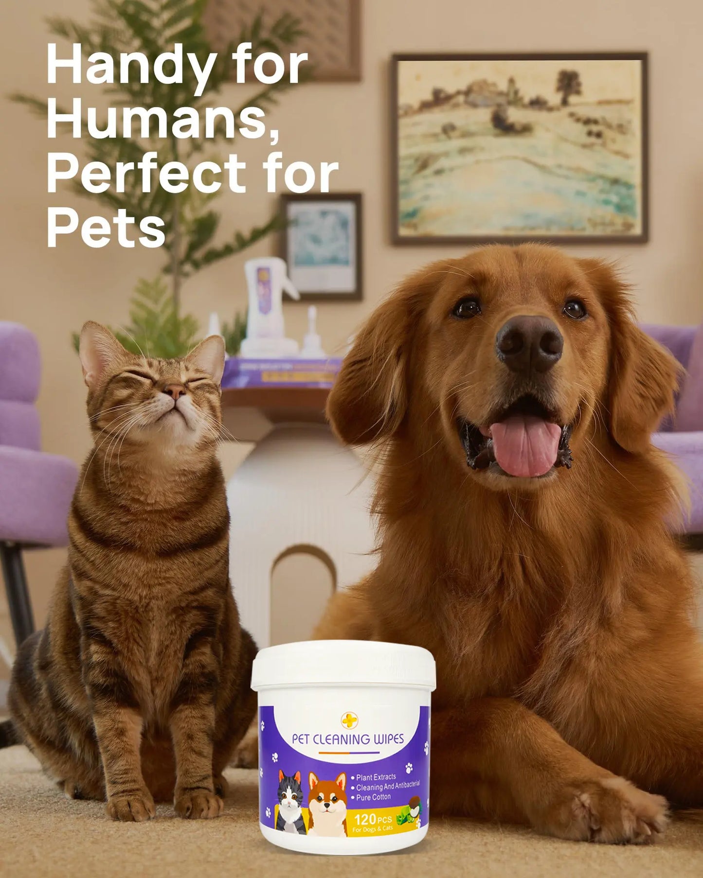 Bellepaws Gentle Pet Eye and Face Cleaning Wipes - 120 Count, Tear Stain and Odor Removal Formula with Aloe, Witch Hazel, and Coconut Oil for Dogs and Cats