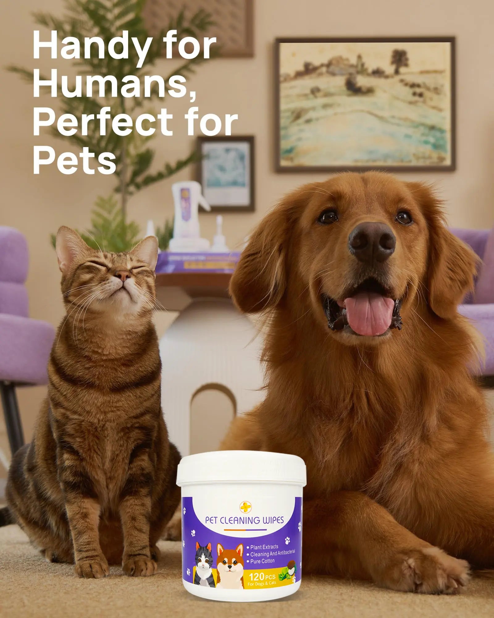 Bellepaws Gentle Pet Eye and Face Cleaning Wipes - 120 Count, Tear Stain and Odor Removal Formula with Aloe, Witch Hazel, and Coconut Oil for Dogs and Cats