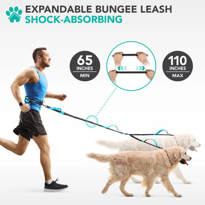 Petami Heavy-Duty Double Dog Leash with 360° Swivel No-Tangle Coupler, Shock-Absorbing Bungee, Padded Handles, and Reflective Design for Medium and Large Dogs